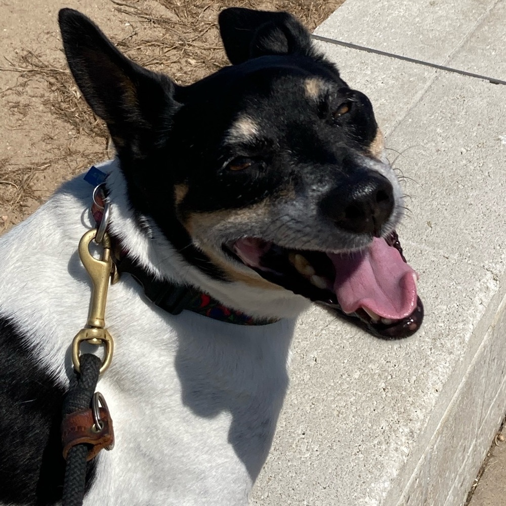 Meet your Posher, Sharon